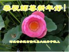 ���ֹ�,�ӱ��󷨵��ӹ�ףʦ�������(25��)