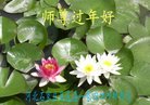 ���ֹ�,ʯ��ׯ�󷨵��ӹ�ףʦ�������(26��)