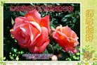 ���ֹ�,�����󷨵��ӹ�ףʦ�������(23��)