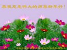 ���ֹ�,�żҿڴ󷨵��ӹ�ףʦ�������(26��)
