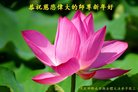 ���ֹ�,�ӱ��󷨵��ӹ�ףʦ�������(25��)