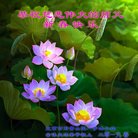 ���ֹ�,�����󷨵��ӹ�ףʦ�������(27��)