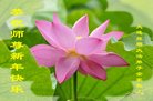 ���ֹ�,�����󷨵��ӹ�ףʦ�������(26��)