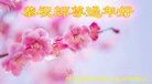 ���ֹ�,�ӱ��󷨵��ӹ�ףʦ�������(21��)