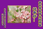 ���ֹ�,�����󷨵��ӹ�ףʦ�������(27��)