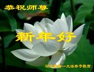 ���ֹ�,�żҿڴ󷨵��ӹ�ףʦ�������(20��)