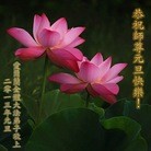 Published on 1/1/2013 ���ֹ�,ŷ�޴󷨵��ӹ�ףʦ�������
