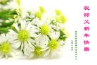 ���ֹ�,������ʢ�١�ŦԼ����ʿ�ٵȵش󷨵��ӹ�ףʦ���������
