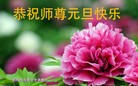 ���ֹ�,������ʢ�١�ŦԼ����ʿ�ٵȵش󷨵��ӹ�ףʦ���������
