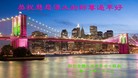 ���ֹ�,����ŦԼ�󷨵��ӹ�ףʦ������
