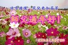 ���ֹ�,����ŦԼ�󷨵��ӹ�ףʦ������

