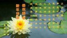 ���ֹ�,����ŦԼ�����󷨵��ӹ�ףʦ�������(34��)