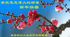 ���ֹ�,����ŦԼ�����󷨵��ӹ�ףʦ�������(34��)