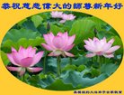 ���ֹ�,����ŦԼ�����󷨵��ӹ�ףʦ�������(34��)