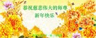 ���ֹ�,����ŦԼ�����󷨵��ӹ�ףʦ�������(34��)