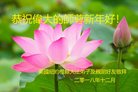 ���ֹ�,����ŦԼ�����󷨵��ӹ�ףʦ�������(34��)