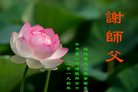 ���ֹ�,����ŦԼ�����󷨵��ӹ�ףʦ�������(34��)
