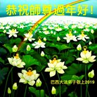 ���ֹ�,����������͢�󷨵��ӹ�ףʦ�������