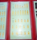 Published on 8/27/2015 ���ֹ�,���ִ󷨺鴫���� ����������
