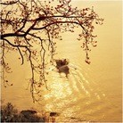 Published on 11/23/2009 ���ֹ�,ȫ������Ӱ����չ�ֻ���ʵ�������ﴫͳ��ѧ��ͼ�� - ���ִ������� - minghui.org