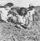 Published on 9/14/2011 ���ֹ�,������ʯ�����־硱��¶��ͼ�� - ���ִ�������
