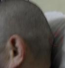 ���ֹ�,�人�����˳����Ⱥ����������˿ظ�
