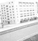 Published on 7/11/2008 �ع������ʡŮ�Ӽ������У�ͼ��