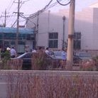 Published on 6/2/2015 ���ֹ�,����ʡ�������Ƿ�Ժ���ݻ���ͥ��Ϸ ����������
