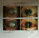 ���ֹ�,���Ⱥ�����ʧ��������������ظ����������� ����������