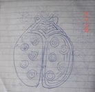 Published on 8/30/2013 ���ֹ�,������Ʒ���������Ѫ�ᣨһ�� ����������
