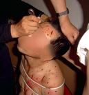 Published on 11/12/2004 		������ʾ�������ͽ������󷨵��ӹ�ʺ������ˢ��Ƥ����ͼ��
