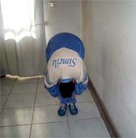 Published on 3/1/2006 �������Ͷ�����Ժ���ݿ���չʾһ������һ����ͼ��