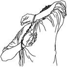 ���ֹ�,ͼƬ���й����̡������� - ���ִ������� - minghui.org