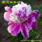 Published on 1/26/2017 ���ֹ�,��½�󷨵��ӹ�ףʦ�������(26��)