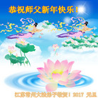 Published on 1/26/2017 ���ֹ�,��½�󷨵��ӹ�ףʦ�������(26��)