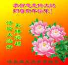 Published on 1/26/2017 ���ֹ�,��½�󷨵��ӹ�ףʦ�������(26��)