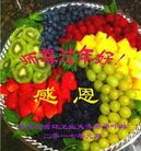 Published on 1/26/2017 ���ֹ�,��½�󷨵��ӹ�ףʦ�������(26��)