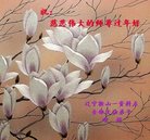 Published on 1/26/2017 ���ֹ�,��½�󷨵��ӹ�ףʦ�������(26��)