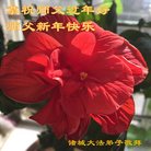 Published on 1/26/2017 ���ֹ�,��½�󷨵��ӹ�ףʦ�������(26��)