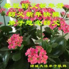 Published on 1/26/2017 ���ֹ�,��½�󷨵��ӹ�ףʦ�������(26��)