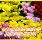 Published on 1/26/2017 ���ֹ�,��½�󷨵��ӹ�ףʦ�������(26��)