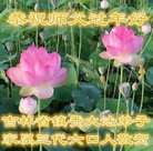 Published on 1/26/2017 ���ֹ�,��½�󷨵��ӹ�ףʦ�������(26��)