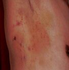 Published on 7/5/2008 ɽ��������а������һ�㡱��������Ĳ����Ⱥ���ͼ��