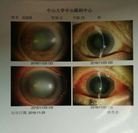 Published on 6/6/2018 ���ֹ�,�벻����ô�ҵ��·����������䰢������ ����������