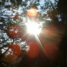 ���ֹ�,������ĵõĲ�ͼ ����������
