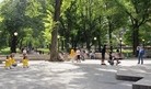 ���ֹ�,���빫԰�������  ����ŦԼ�� ����������
