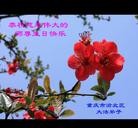 Published on 5/13/2010 ���ֹ�,��½���ϴ󷨵�����ף5.13���編�ִ��գ���120�أ� - ���ִ������� - minghui.org