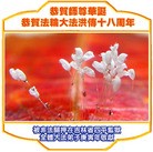 Published on 5/12/2010 ���ֹ�,���й��Ƿ��ٳֵĴ󷨵��ӹ���ʦ�𻪵������編�ִ��� - ���ִ������� - minghui.org