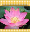 Published on 5/13/2011 ���ֹ�,��½�󷨵��Ӻ�ʦ�𻪵��߷��ִ��գ�18�� - ���ִ�������
