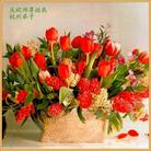 Published on 5/13/2011 ���ֹ�,��½�󷨵��Ӻ�ʦ�𻪵��߷��ִ��գ�19�� - ���ִ�������
